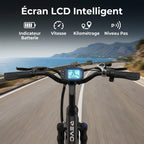 Electric Bicycle REVO Horizon 24 – 250 W – Range up to 40 km – Battery 36 V 10 Ah – 7 Speeds