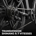 Electric Fat Bike REVO Terra Boost – 250 W – Range up to 126 km – 48 V 13 Ah Battery – 75 Nm Torque – 20 x 4 Tires