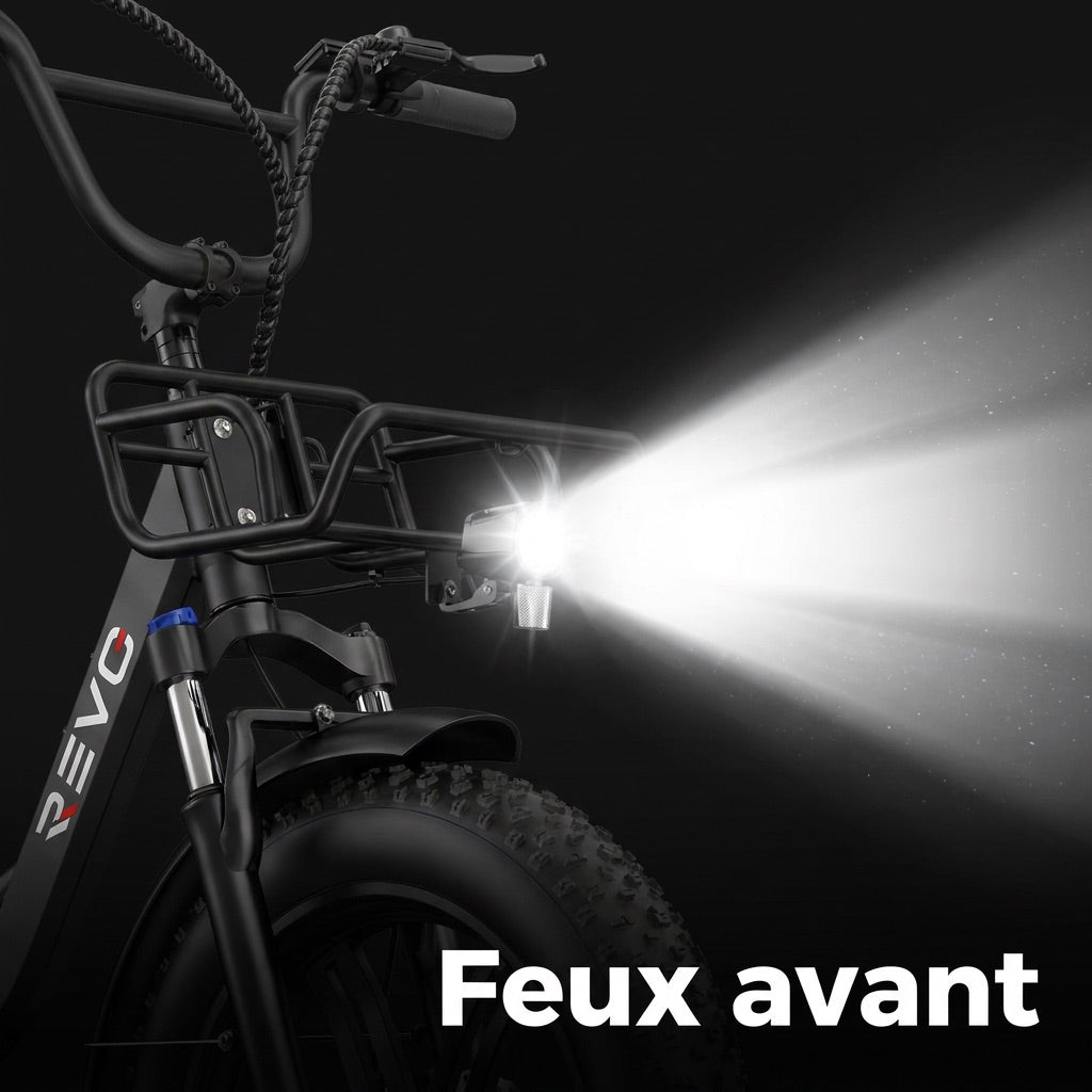 Electric Fat Bike REVO Terra Boost – 250 W – Range up to 126 km – 48 V 13 Ah Battery – 75 Nm Torque – 20 x 4 Tires