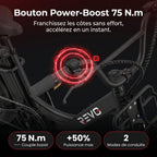 Electric Fat Bike REVO Terra Boost – 250 W – Range up to 126 km – 48 V 13 Ah Battery – 75 Nm Torque – 20 x 4 Tires