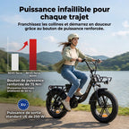 Electric Fat Bike REVO Terra Boost – 250 W – Range up to 126 km – 48 V 13 Ah Battery – 75 Nm Torque – 20 x 4 Tires