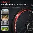Electric Mountain Bike REVO Trail – 250 W – Range 35 to 90 km – 36 V 10.4 Ah Battery – 26-inch Tires – 7 Speeds
