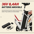 Electric Bicycle REVO Avenue 26″ – 250W Motor – Removable 36V 8.4Ah Battery – Up to 70 km Range – Disc Brakes