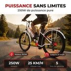 Electric Bicycle REVO Avenue 26″ – 250W Motor – Removable 36V 8.4Ah Battery – Up to 70 km Range – Disc Brakes
