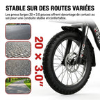 REVO Cargo Electric Folding Bike – 250 W – Range up to 80 km – 468 Wh Battery – 20 × 3.0″ Fat Tyres
