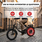 REVO Cargo Electric Folding Bike – 250 W – Range up to 80 km – 468 Wh Battery – 20 × 3.0″ Fat Tyres